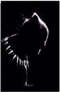 BLACK PANTHER #25 PATRICK GLEASON FINE ART VIRGIN VARIANT