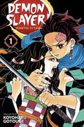 Demon Slayer vol 1
