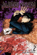 JUJUTSU KAISEN vol 2