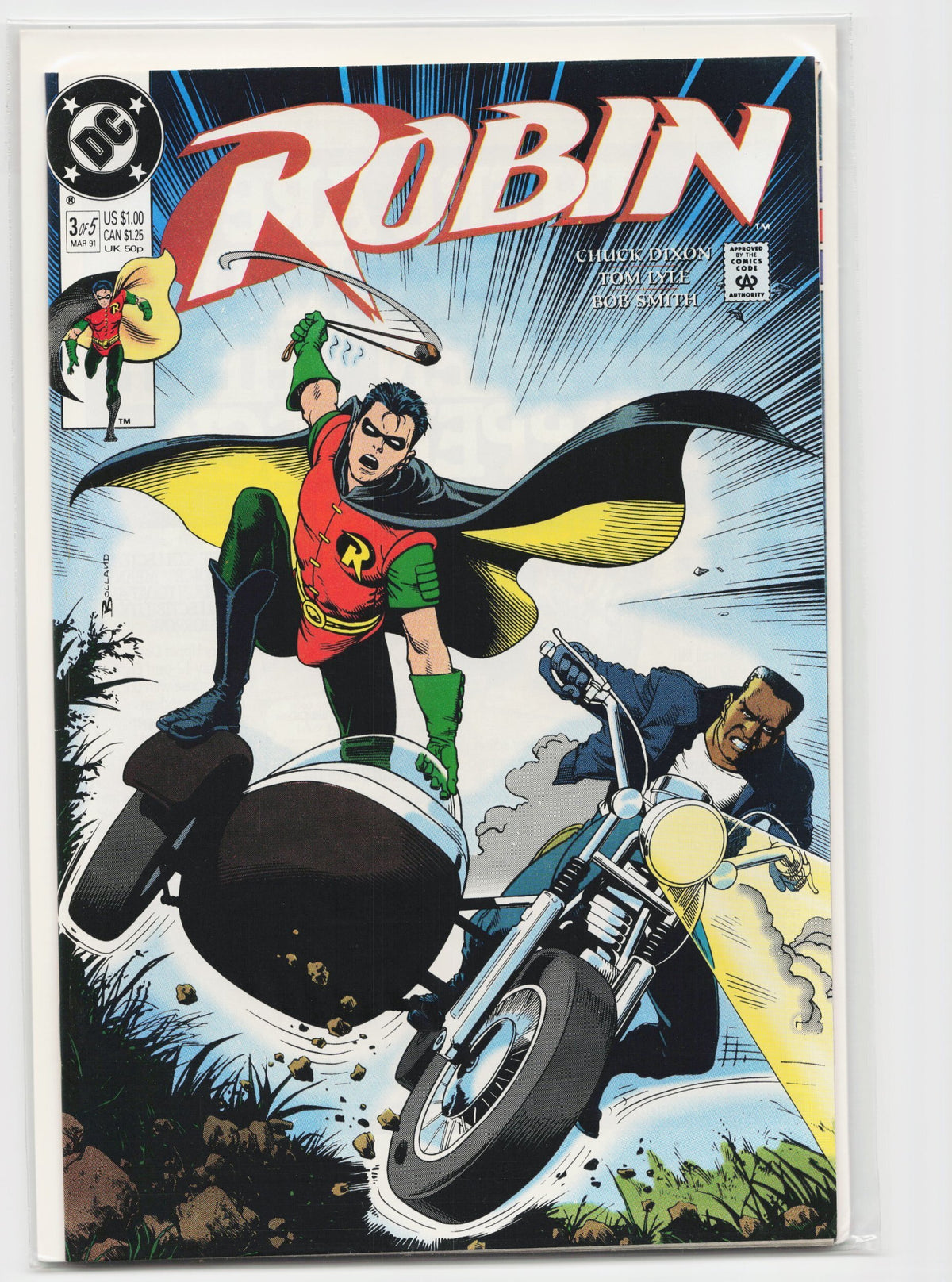Robin #3
