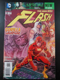 The FLASH #13