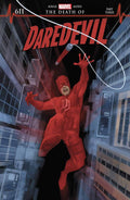 The Death of Daredevil #3